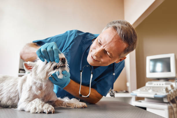 Best Emergency Dental Extractions in Sixteen Mile Stand, OH